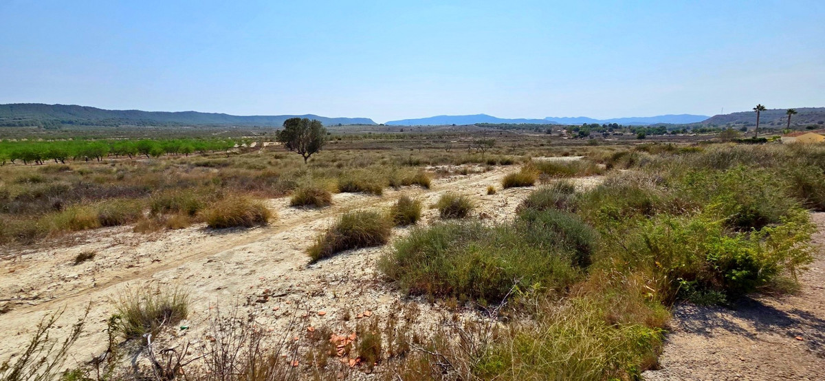 Huis te koop in San Miguel de Salinas | 0 slaapkamers H5456386