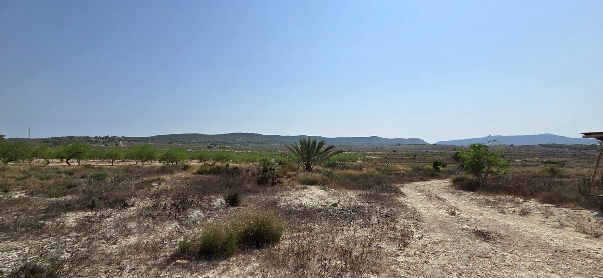 Huis te koop in San Miguel de Salinas | 0 slaapkamers H5456386