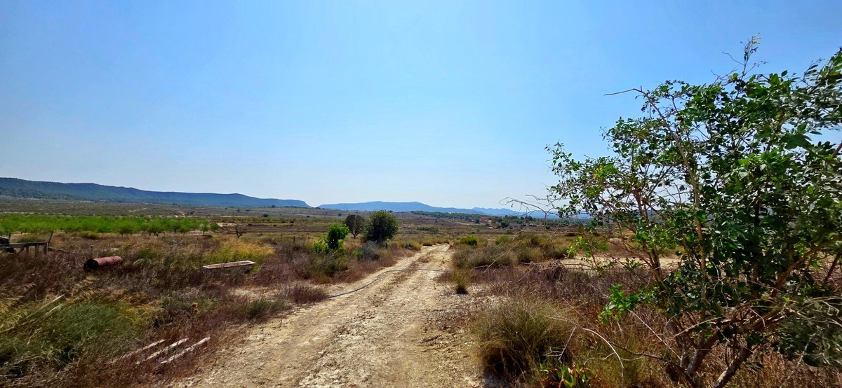 Huis te koop in San Miguel de Salinas | 0 slaapkamers H5456386