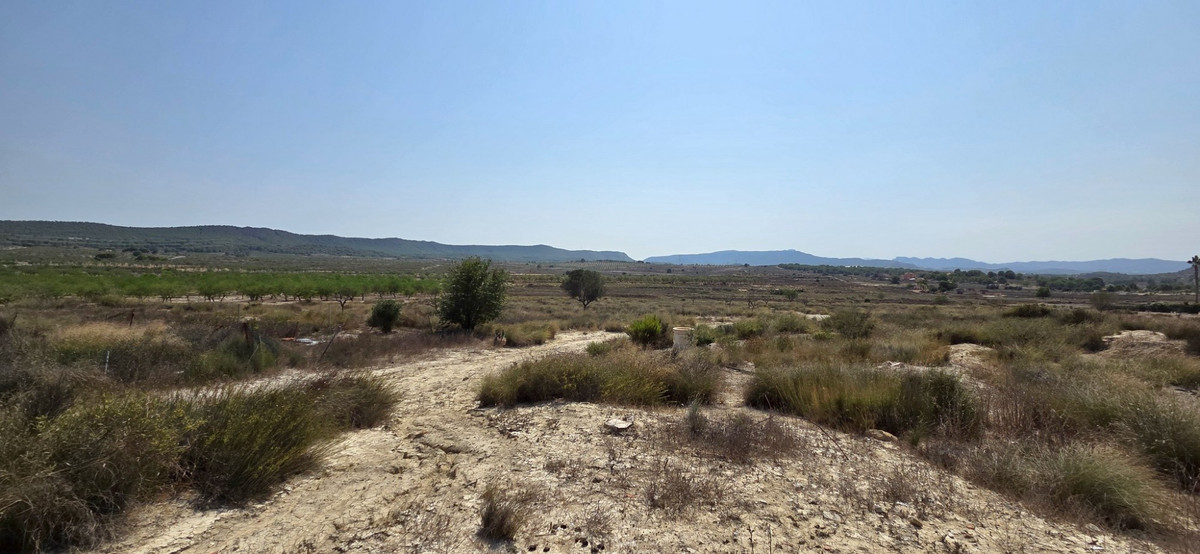 Huis te koop in San Miguel de Salinas | 0 slaapkamers H5456386