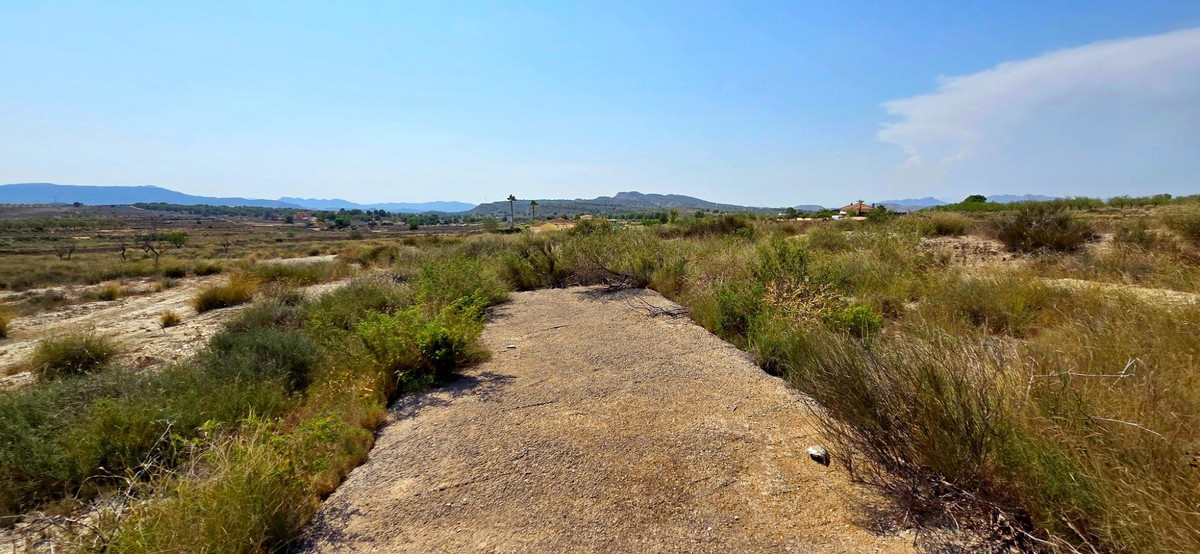 Huis te koop in San Miguel de Salinas | 0 slaapkamers H5456386