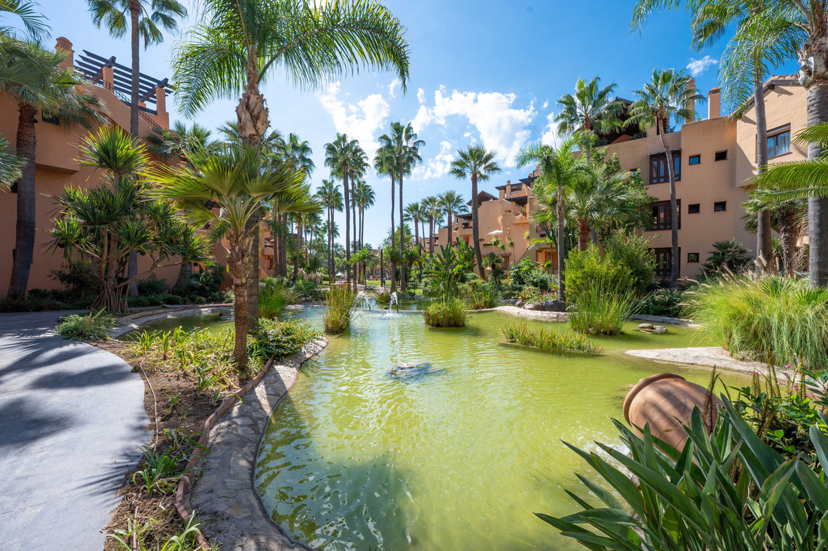 Property main view 24