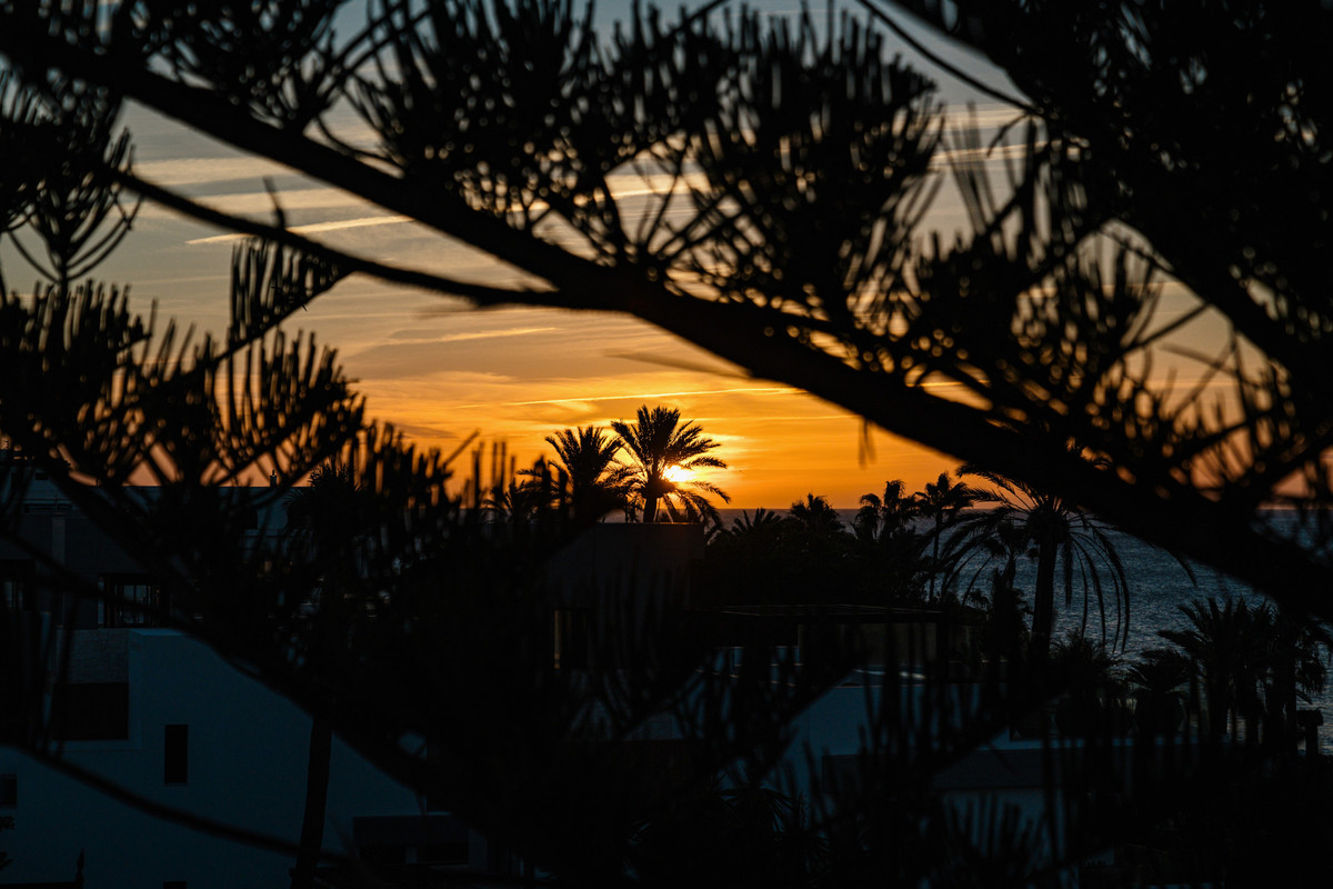 Appartement te koop in San Pedro de Alcántara | 3 slaapkamers H5209384