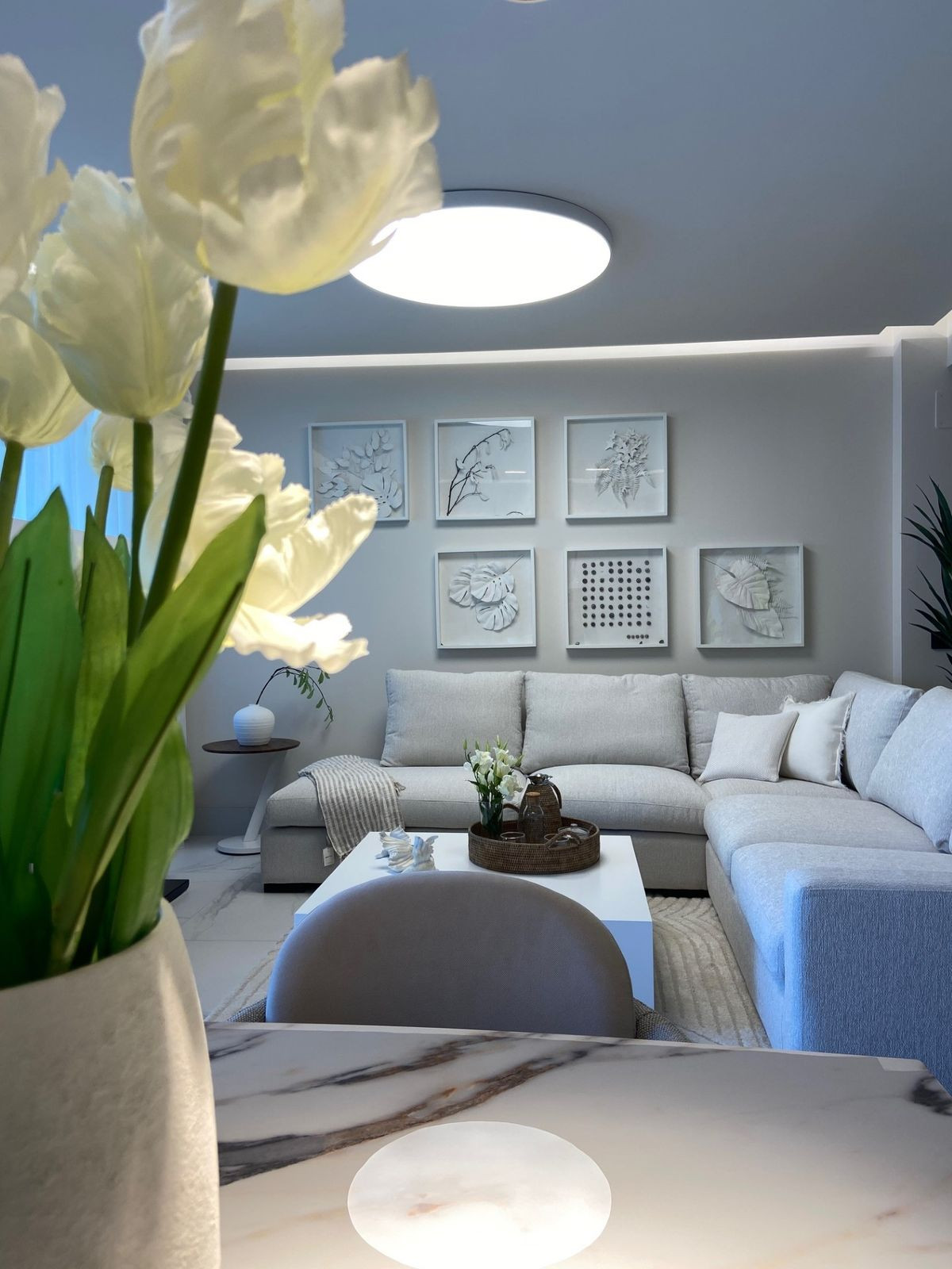 Property main view 15