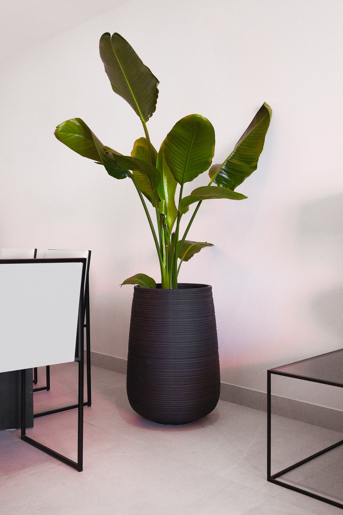 Huis te koop in San Pedro de Alcántara | 3 slaapkamers H5274487