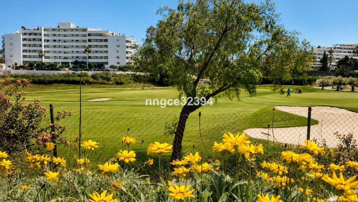 Property main view 12