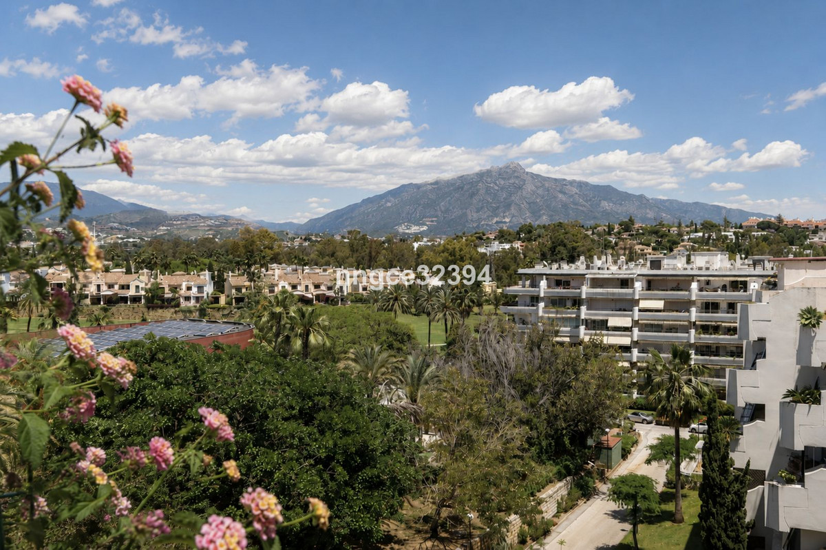 Property main view 8