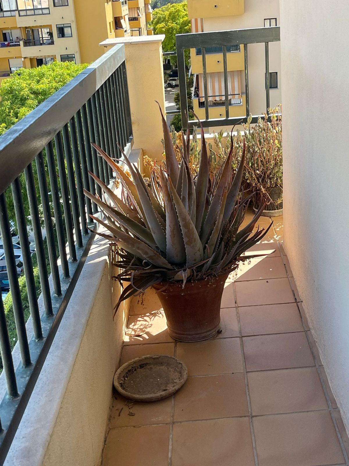 Appartement te koop in San Pedro de Alcántara | 3 slaapkamers H5401003