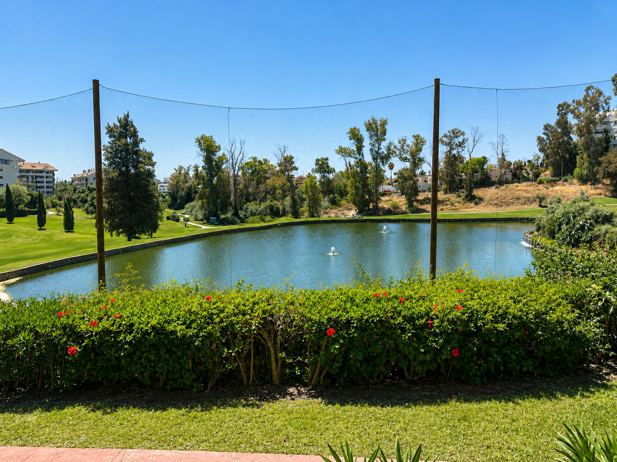 Property main view 19