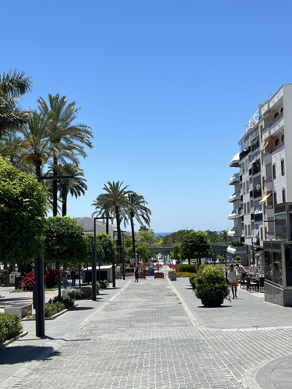Property main view 32