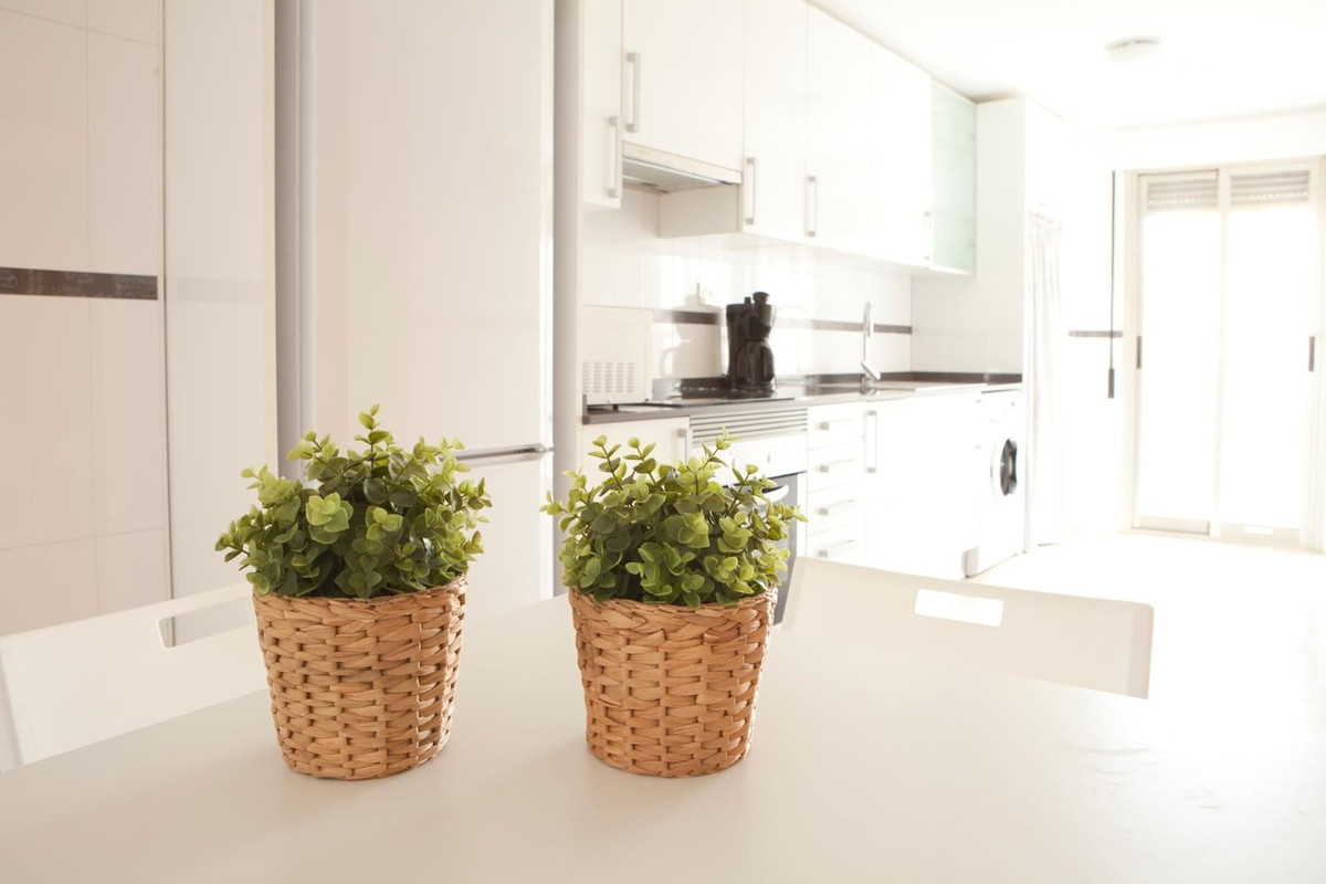 Property main view 19