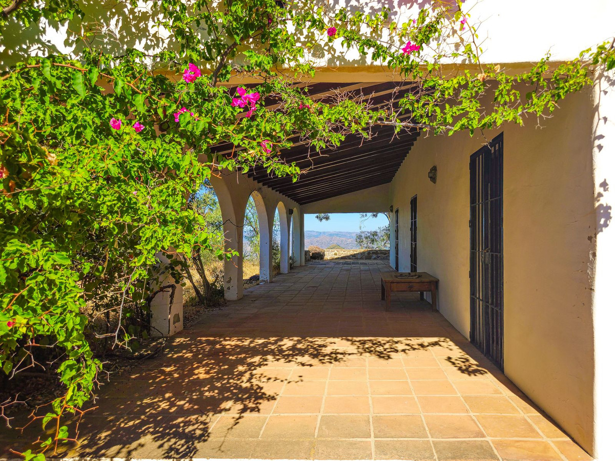 Property main view 64
