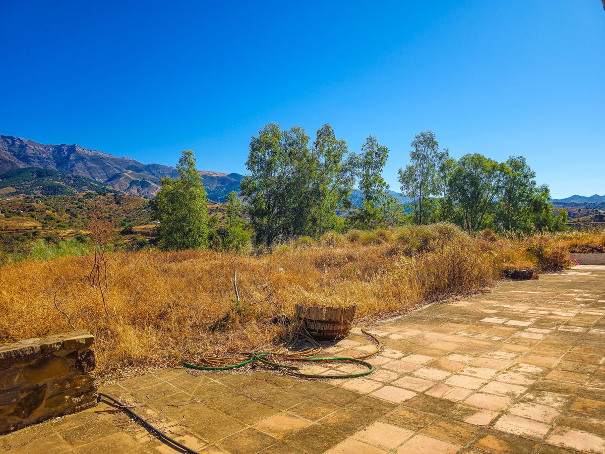 Property main view 67