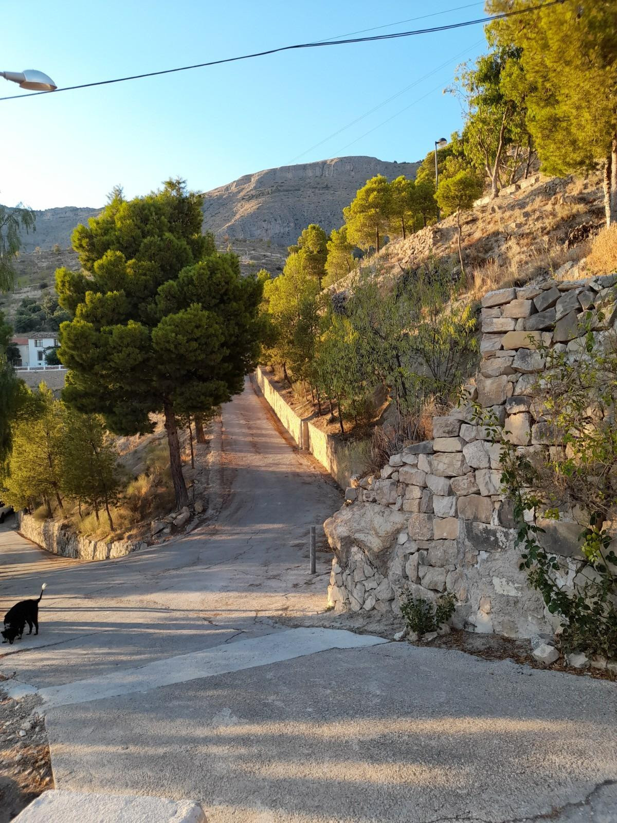 Property main view 16