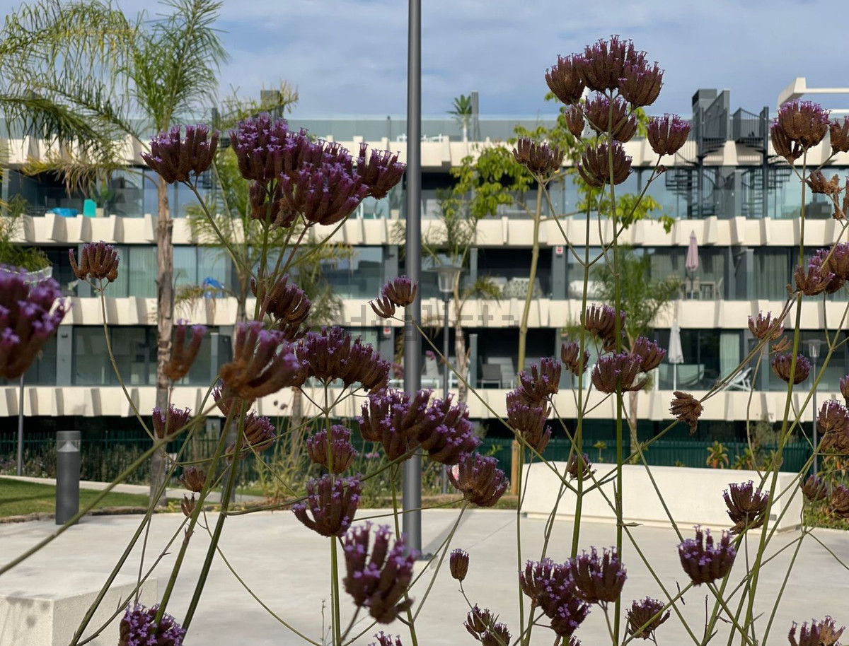 Appartement te koop in Selwo | 3 slaapkamers H4837135