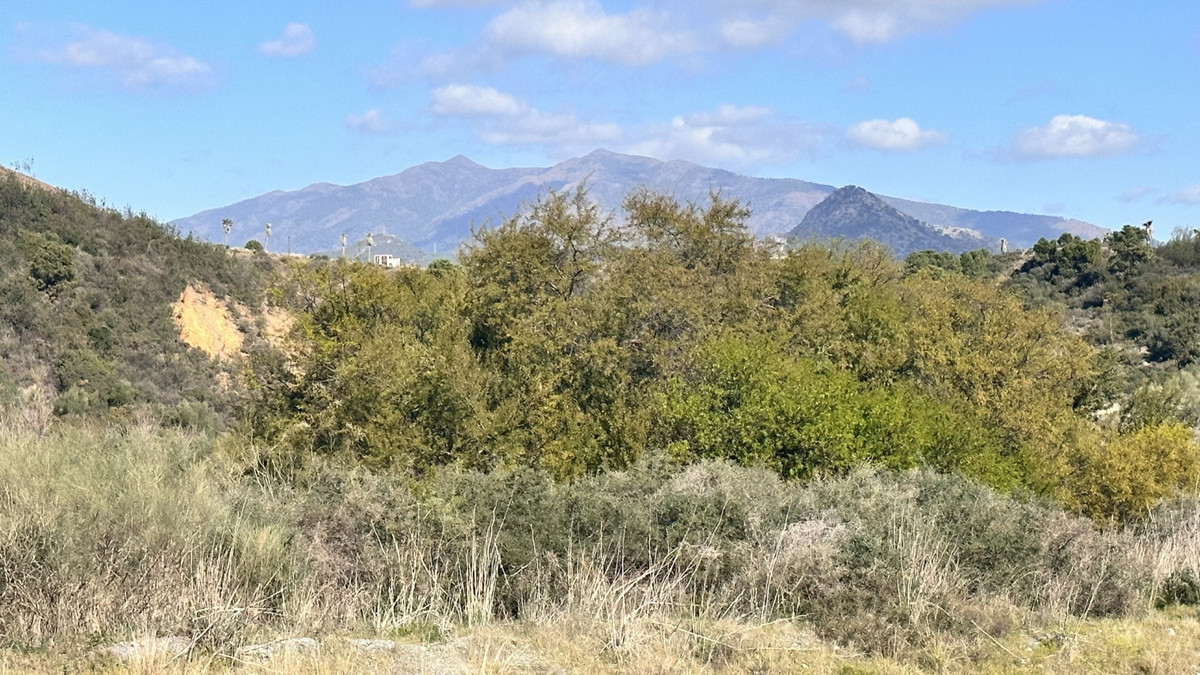 Property main view 43