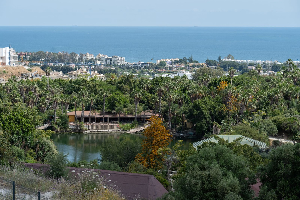 Property main view 15