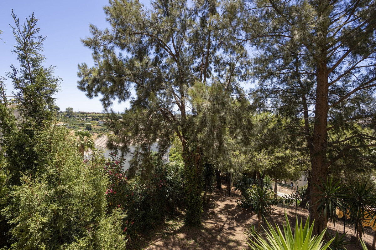 Property main view 26