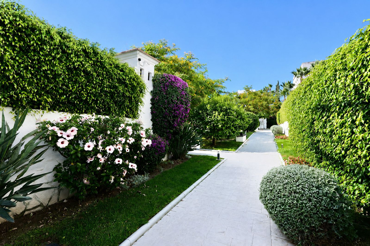 Property main view 39