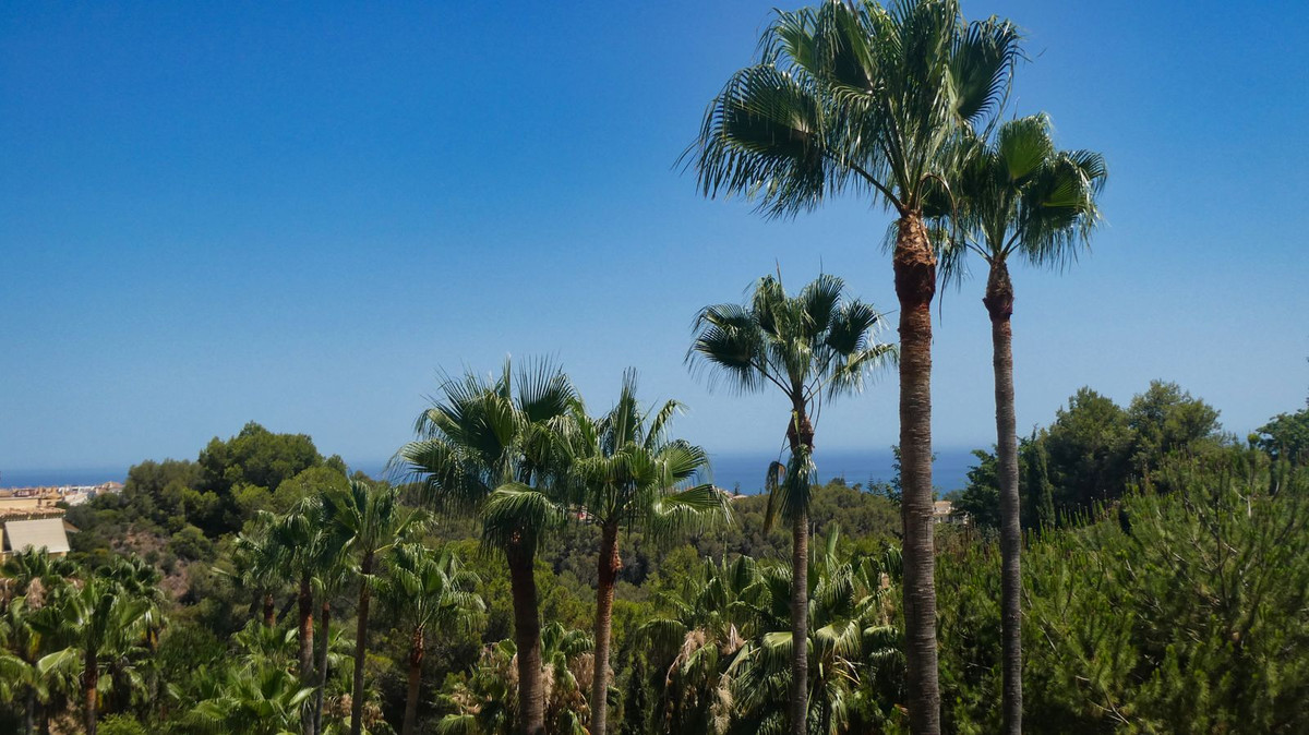 Property main view 17