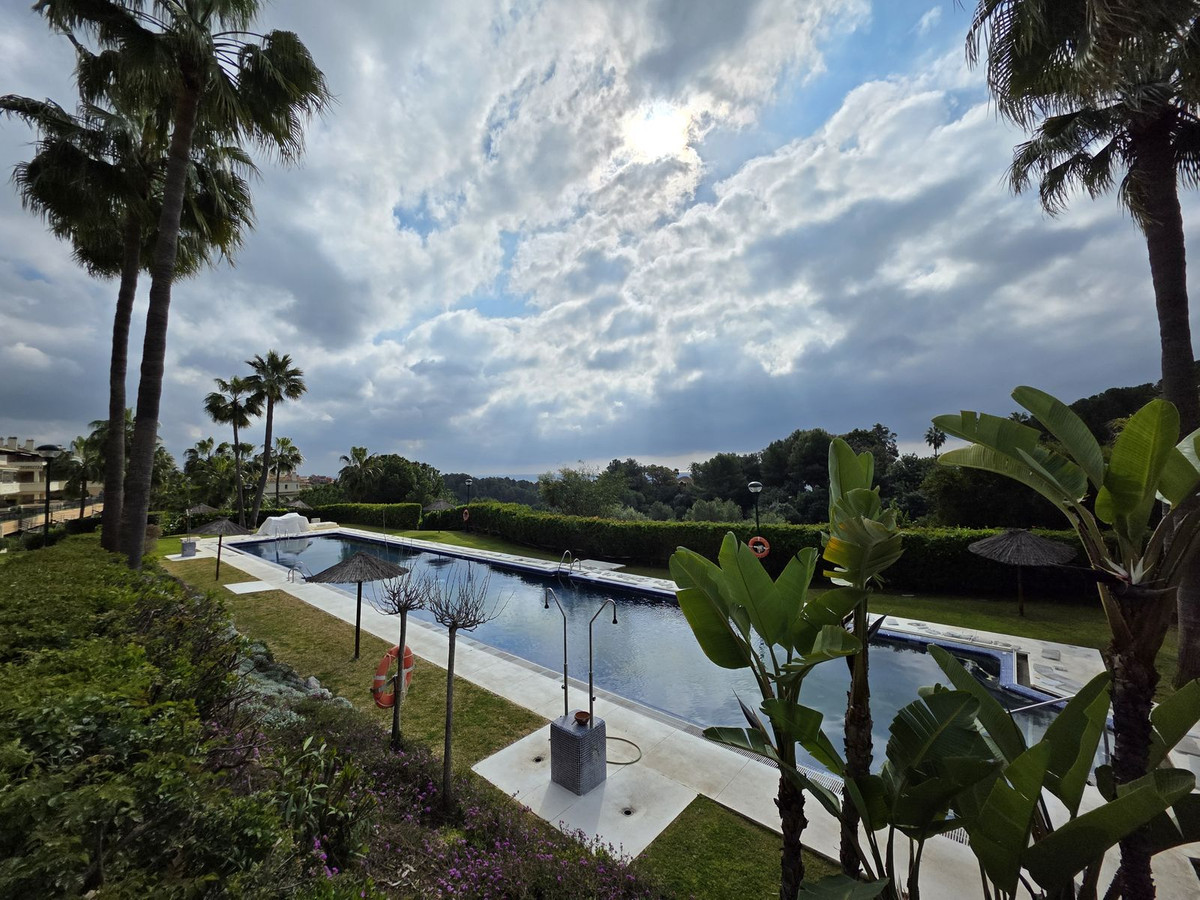 Property main view 50