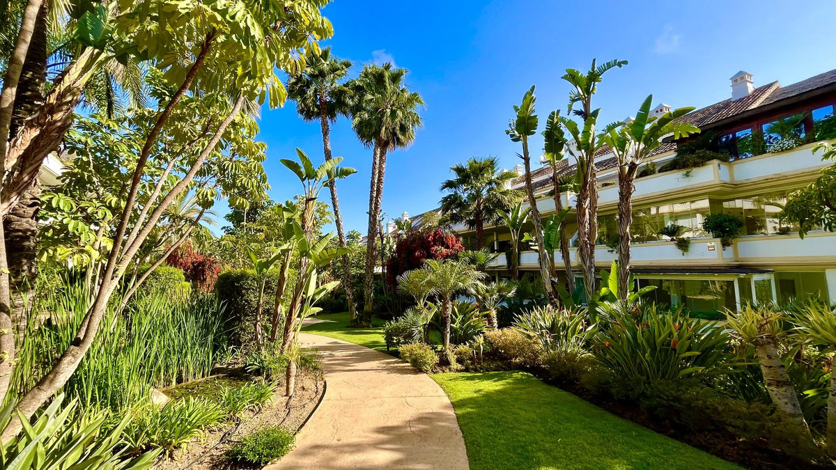 Property main view 34