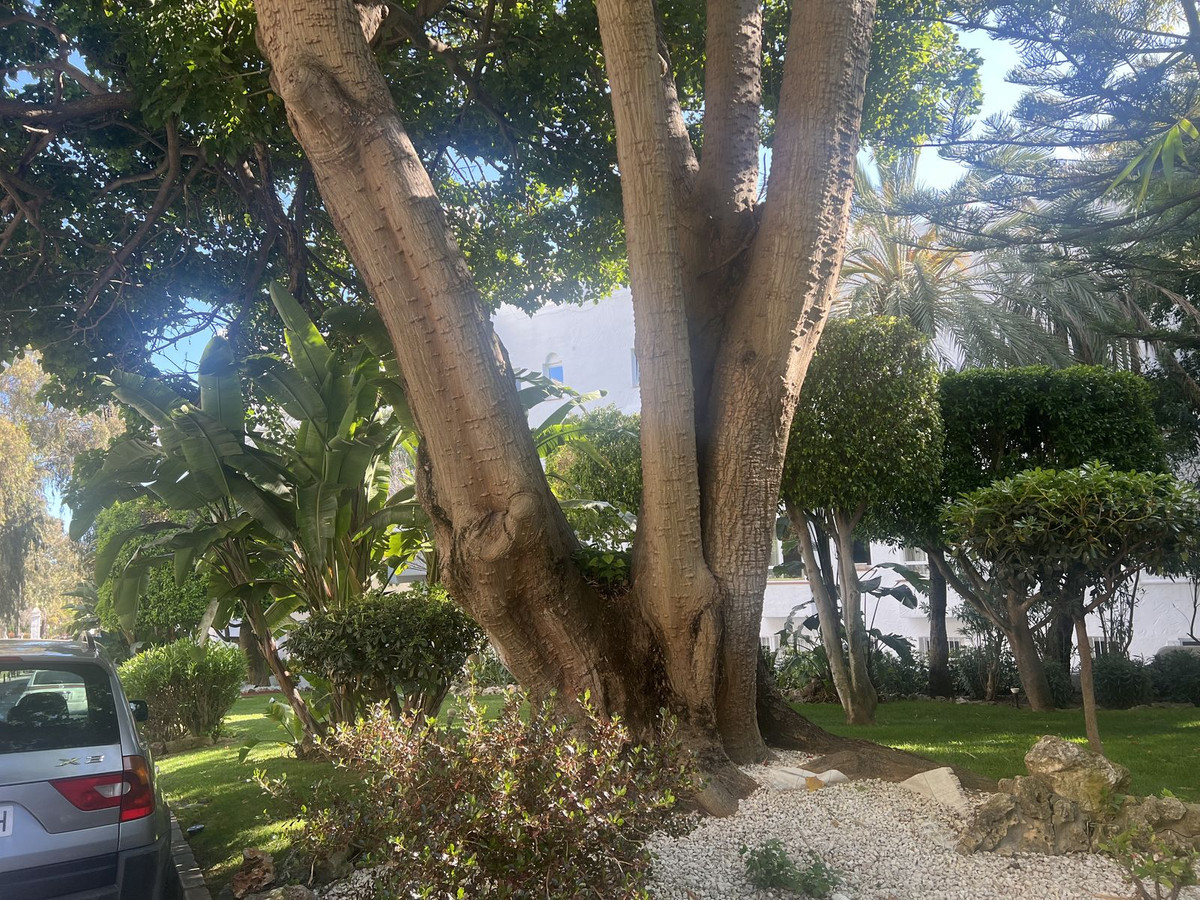 Apartment for sale in The Golden Mile | 3 bedrooms H5025880