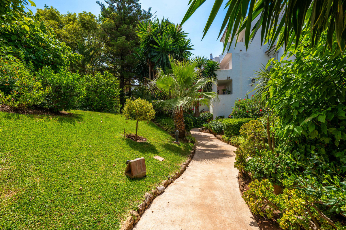 Property main view 41