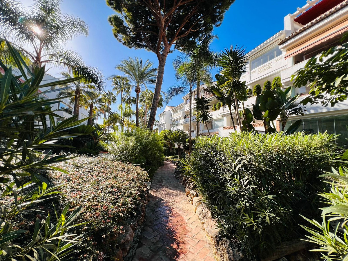 Property main view 20