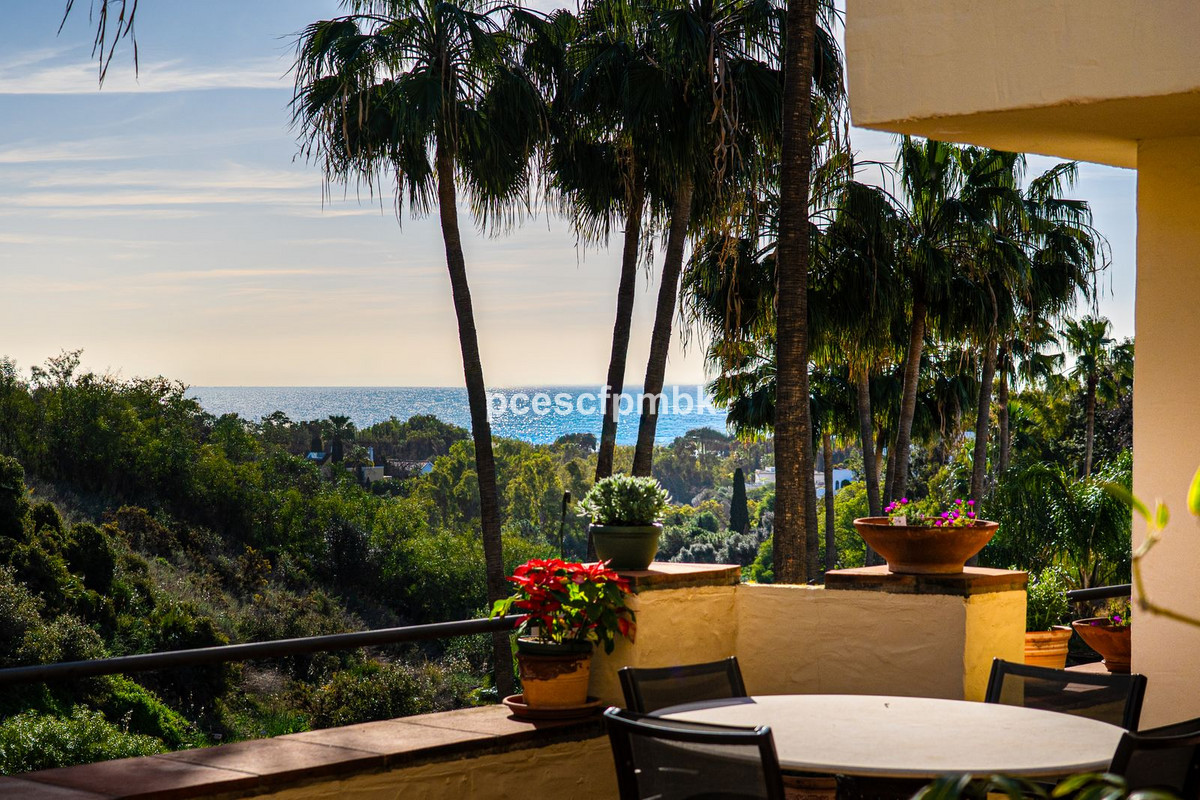 Property main view 2