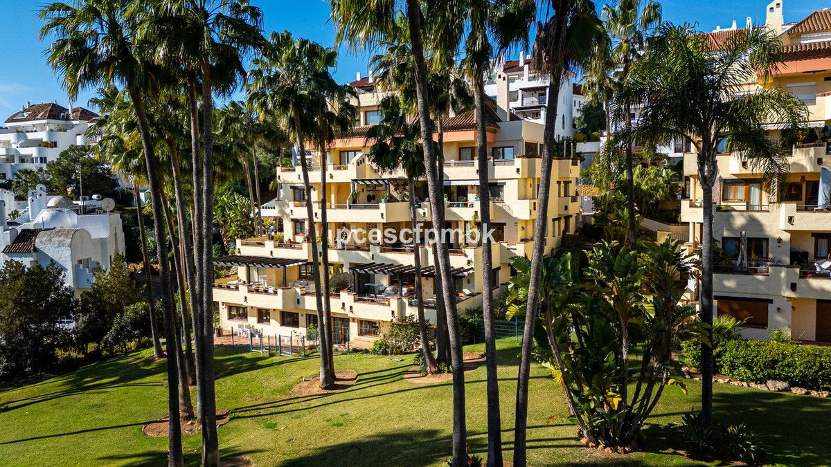 Property main view 28