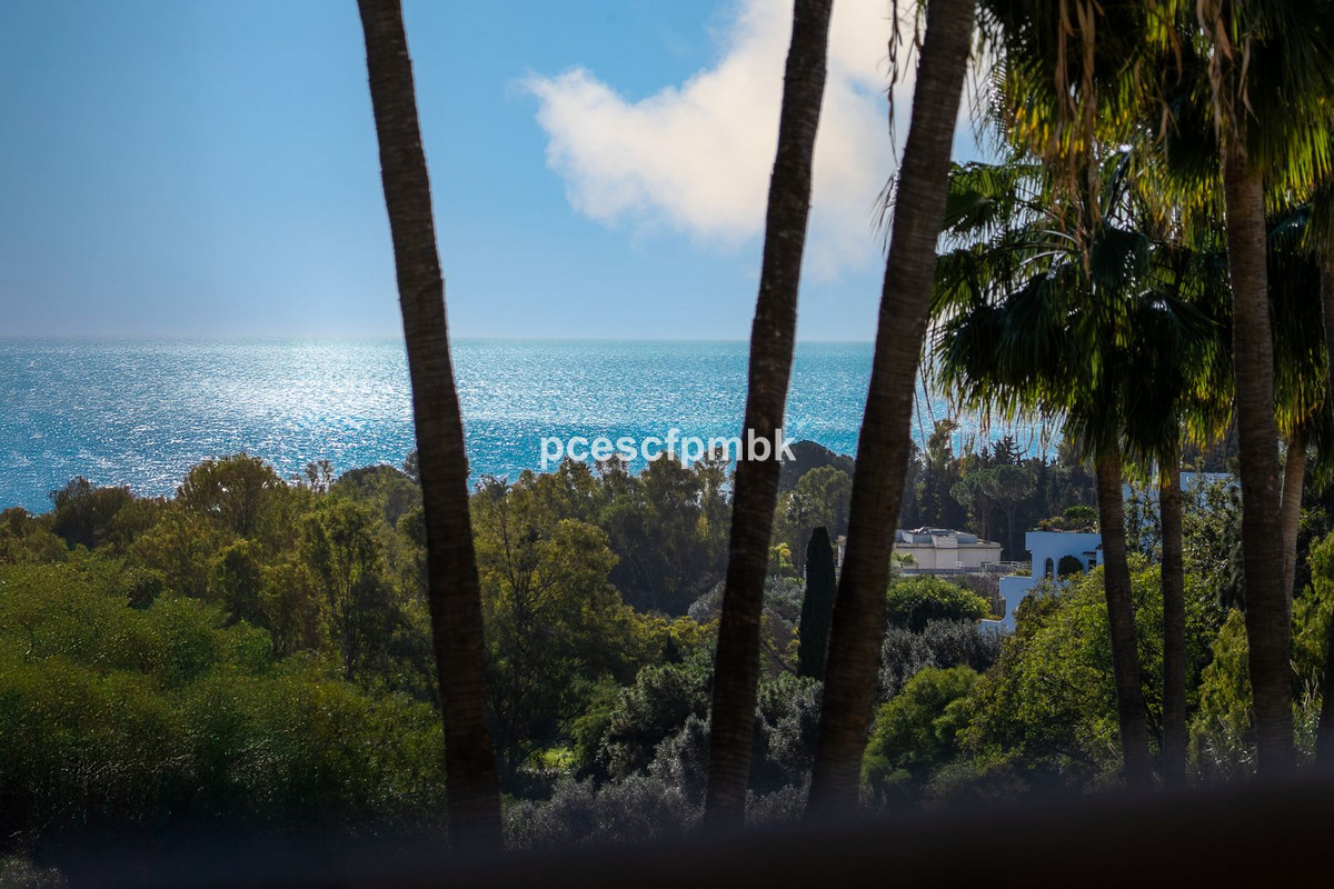 Property main view 29