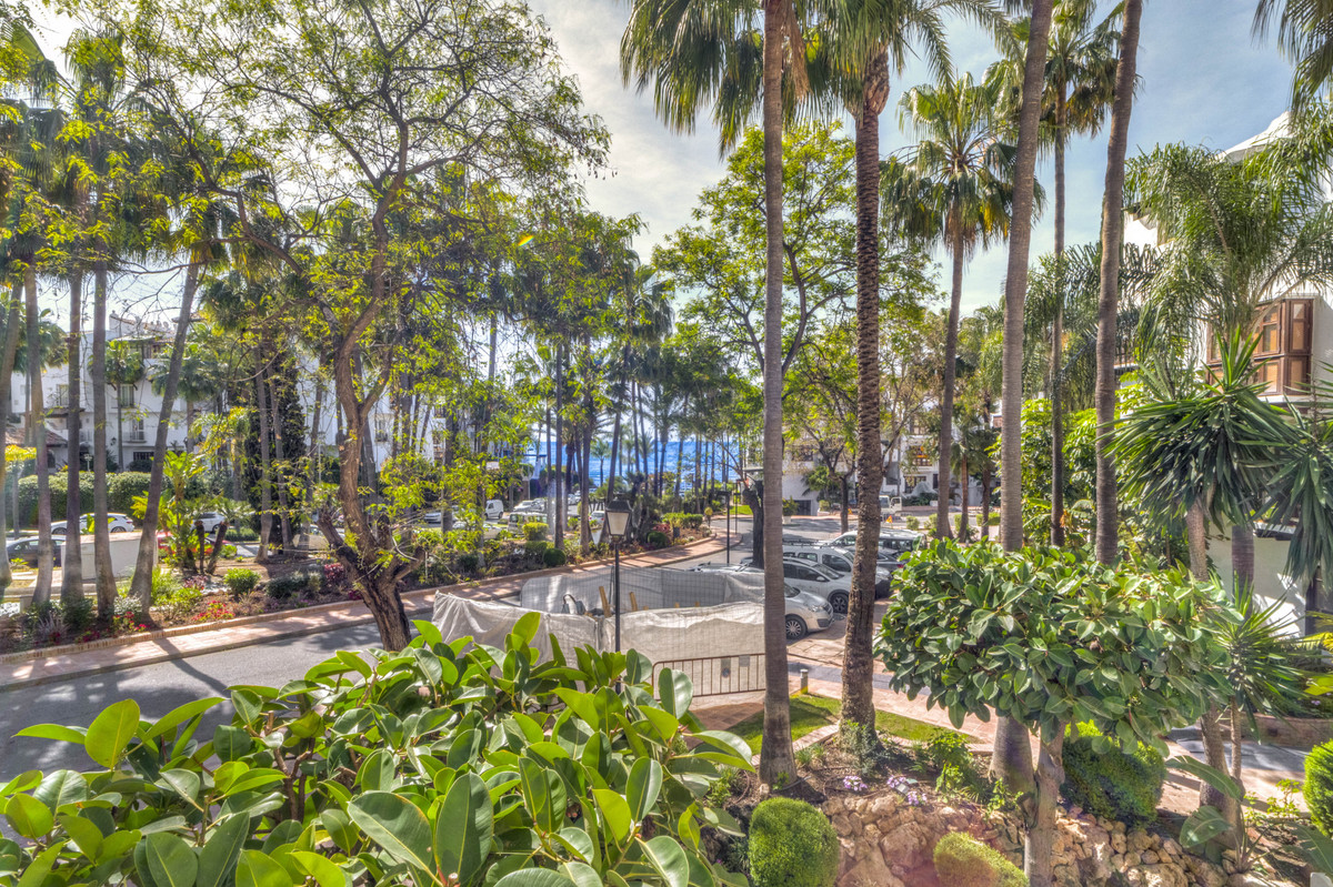 Property main view 40