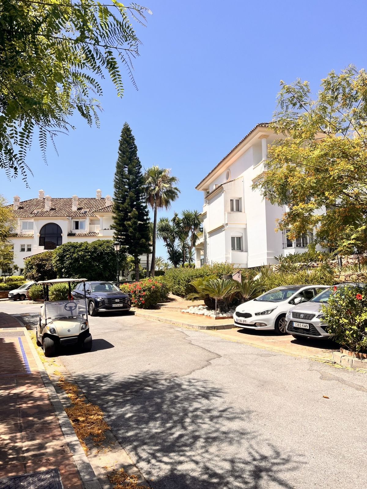Property main view 50