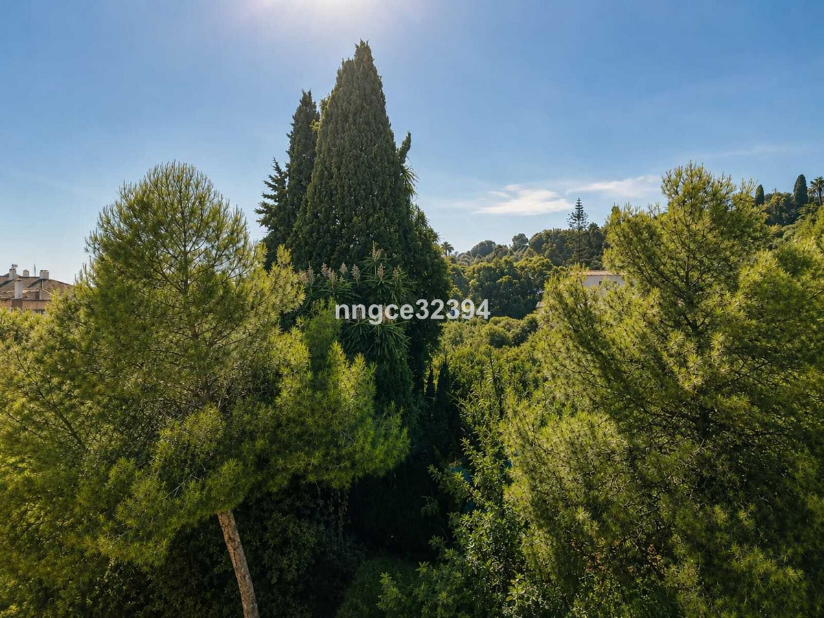 Property main view 26