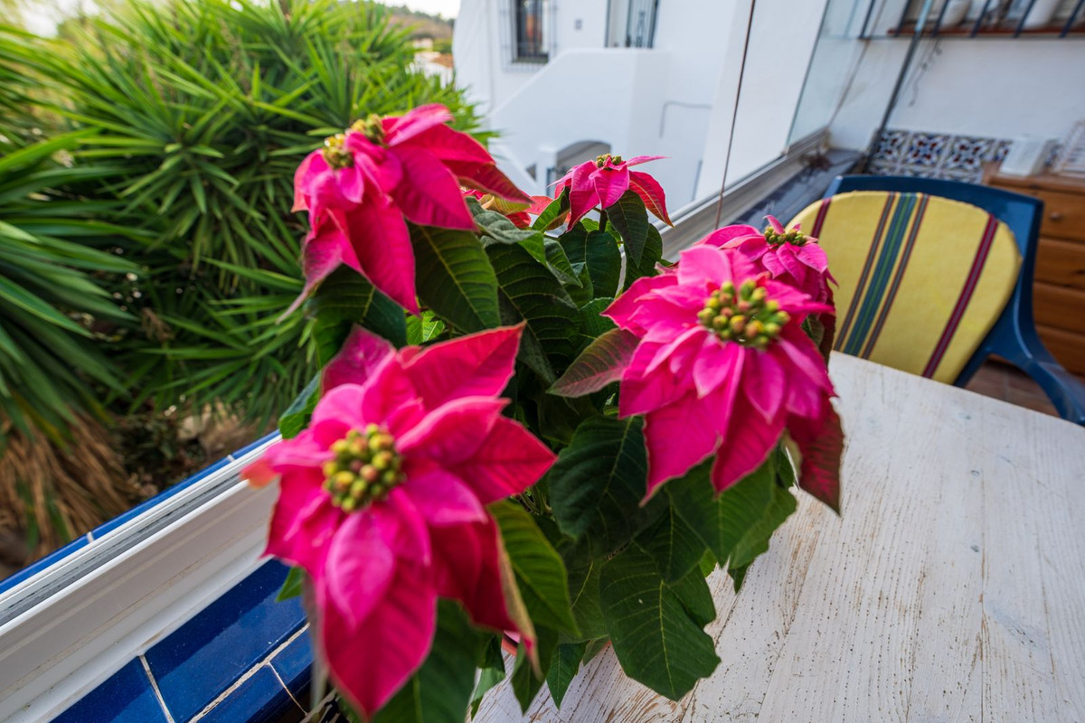 Appartement te koop in Torreblanca | 1 slaapkamers H5252290