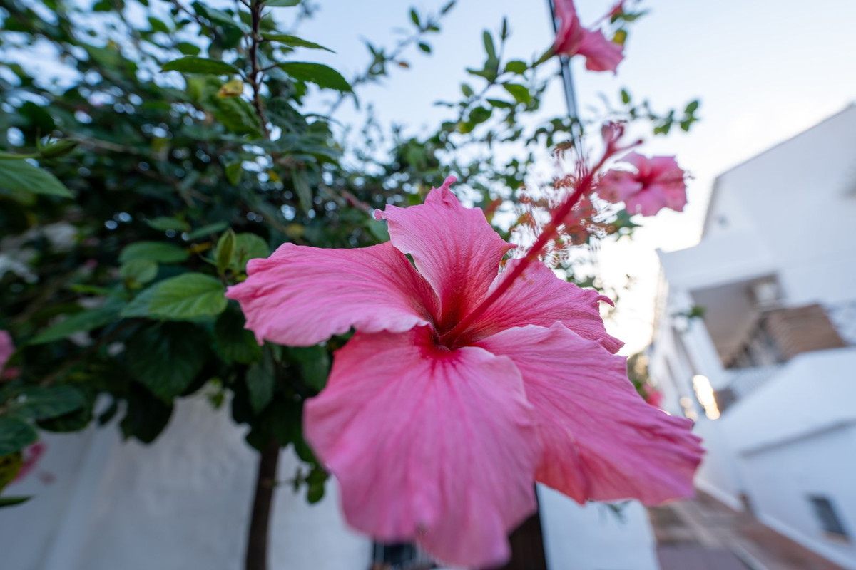 Appartement te koop in Torreblanca | 1 slaapkamers H5252290