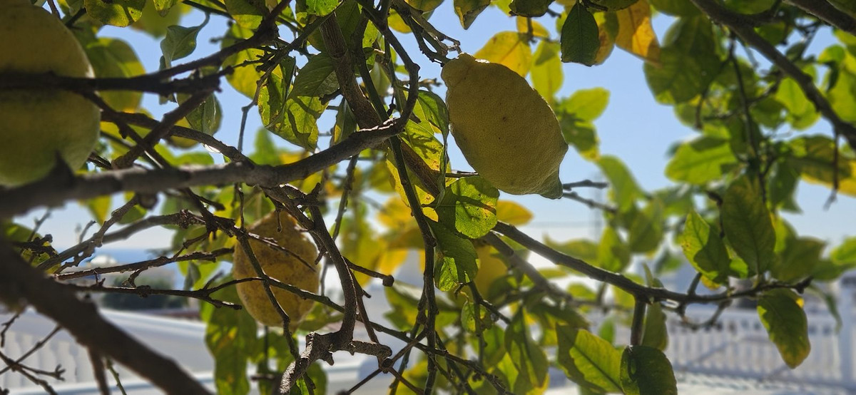 Property main view 6