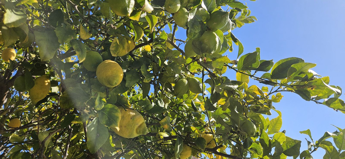 Property main view 7