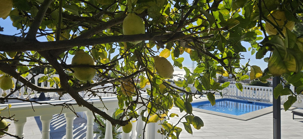 Property main view 8