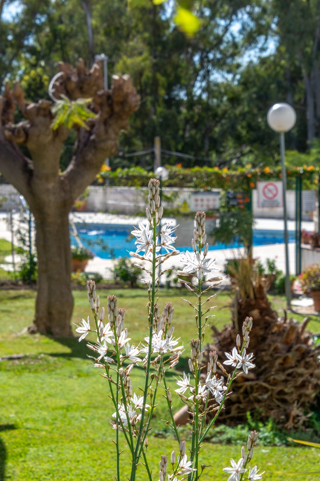 Property main view 45