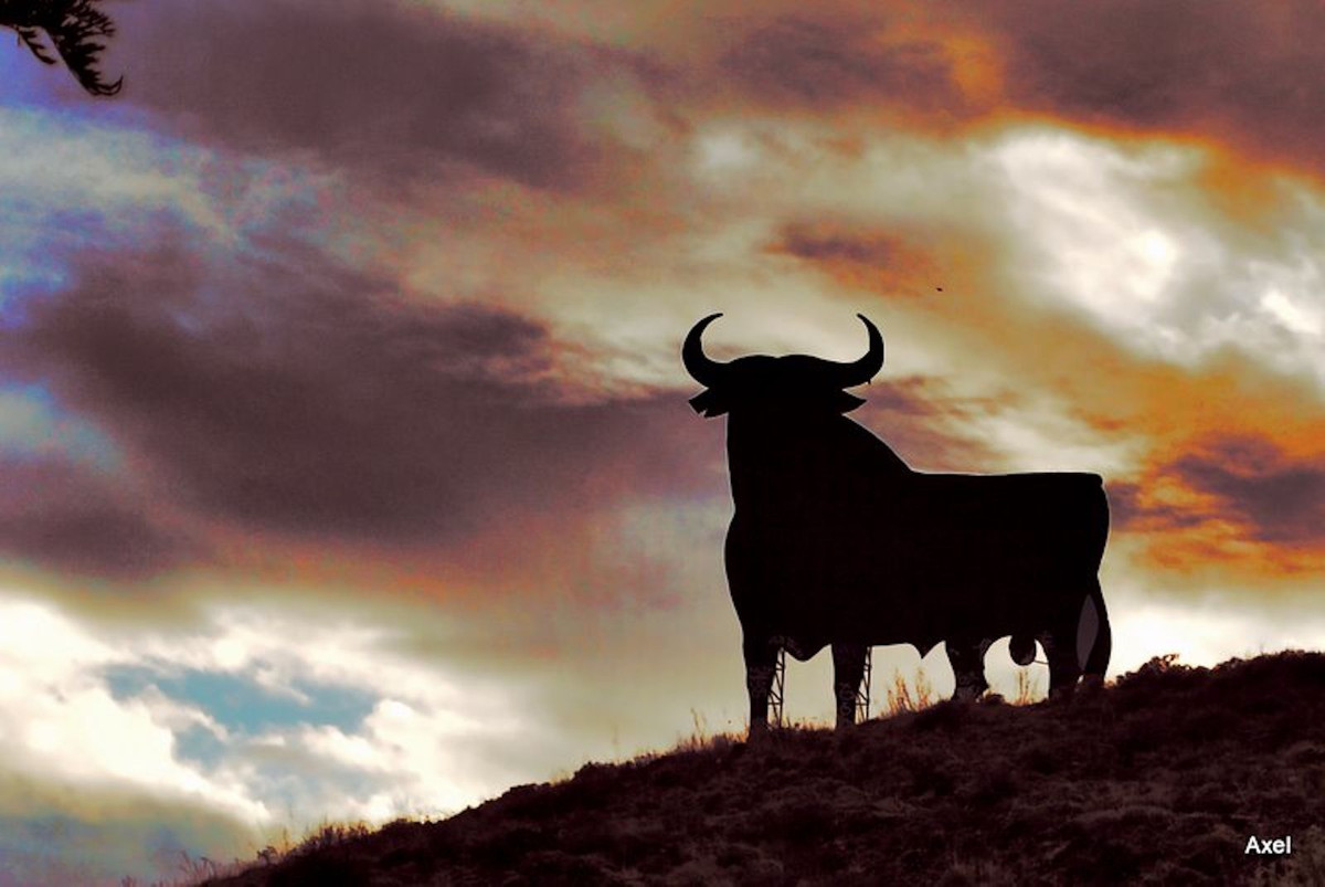 Property main view 50