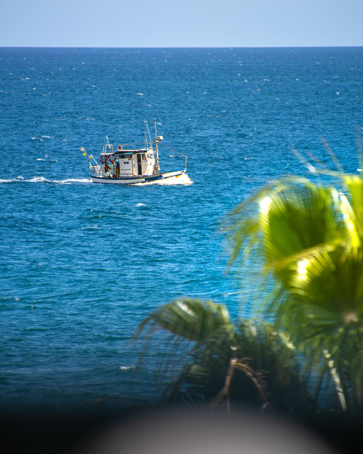 Property main view 61