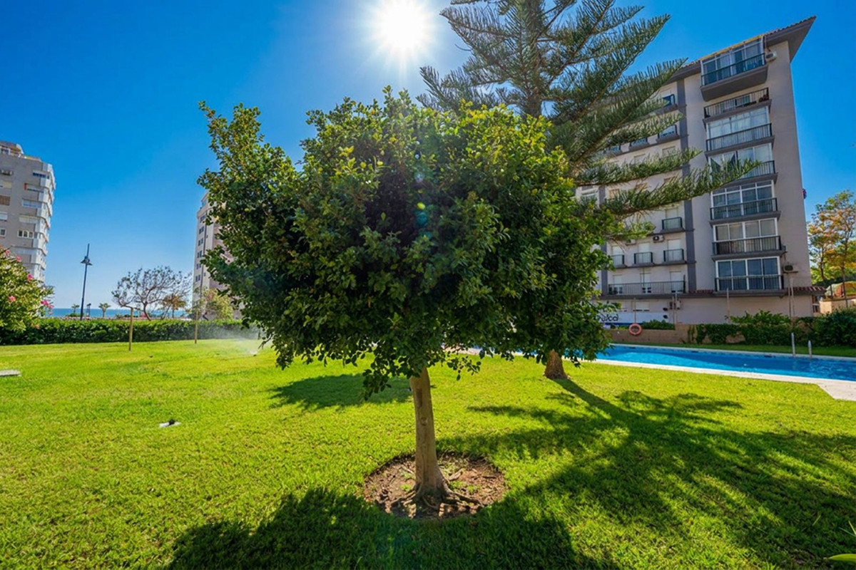 Property main view 25