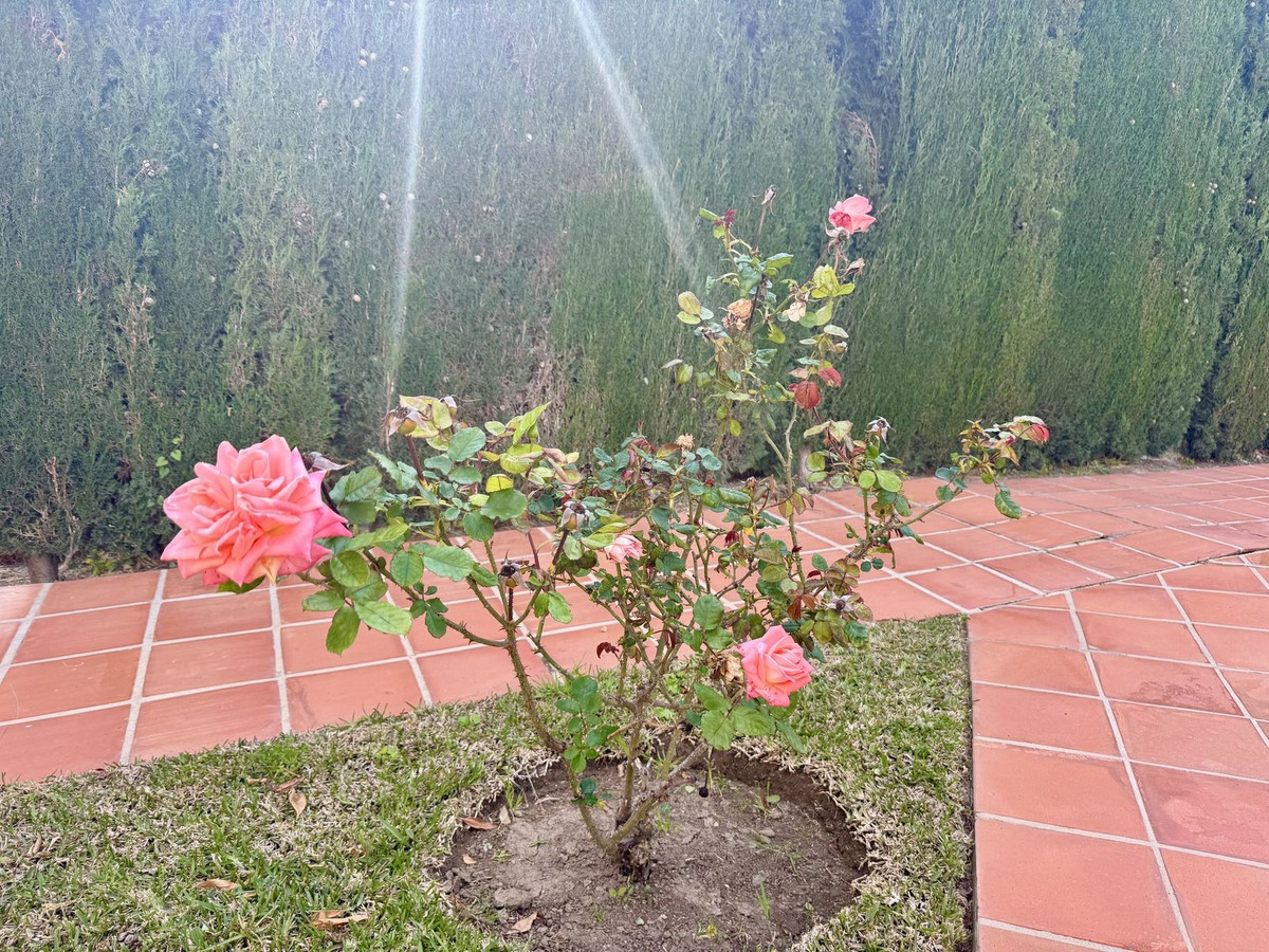 Appartement te koop in Torreblanca | 1 slaapkamers H5379940
