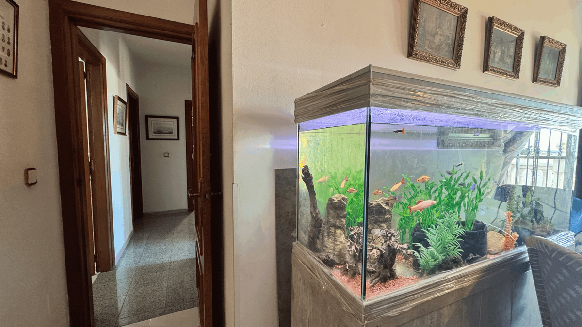 Property main view 27