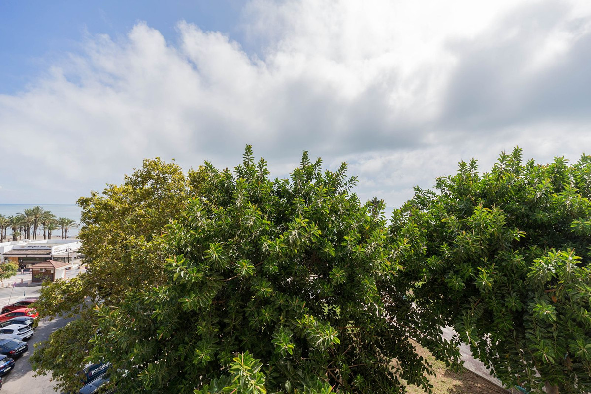 Property main view 24