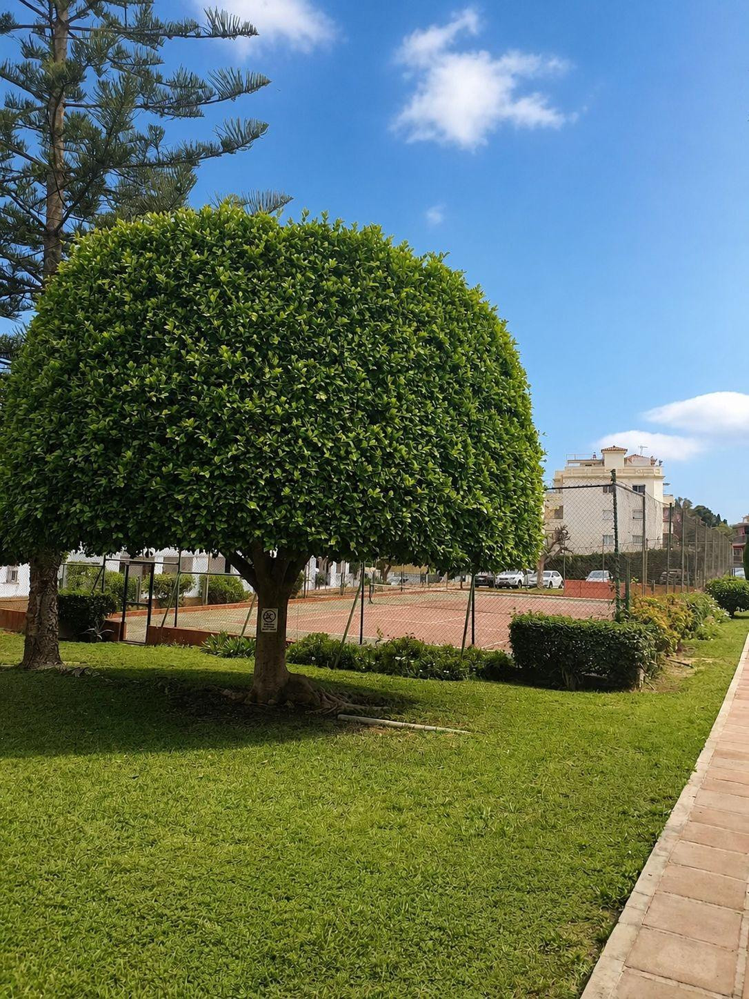 Property main view 14