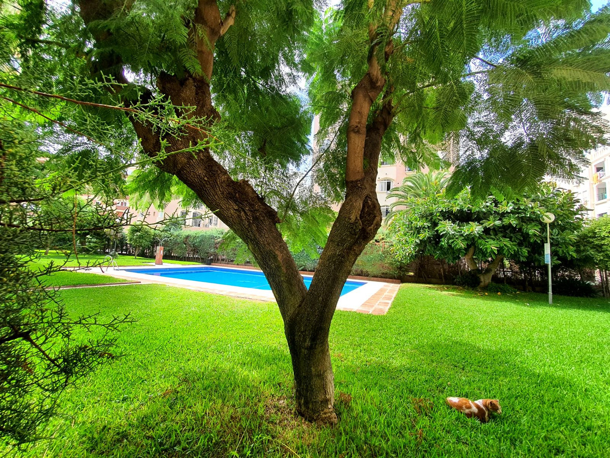 Property main view 1
