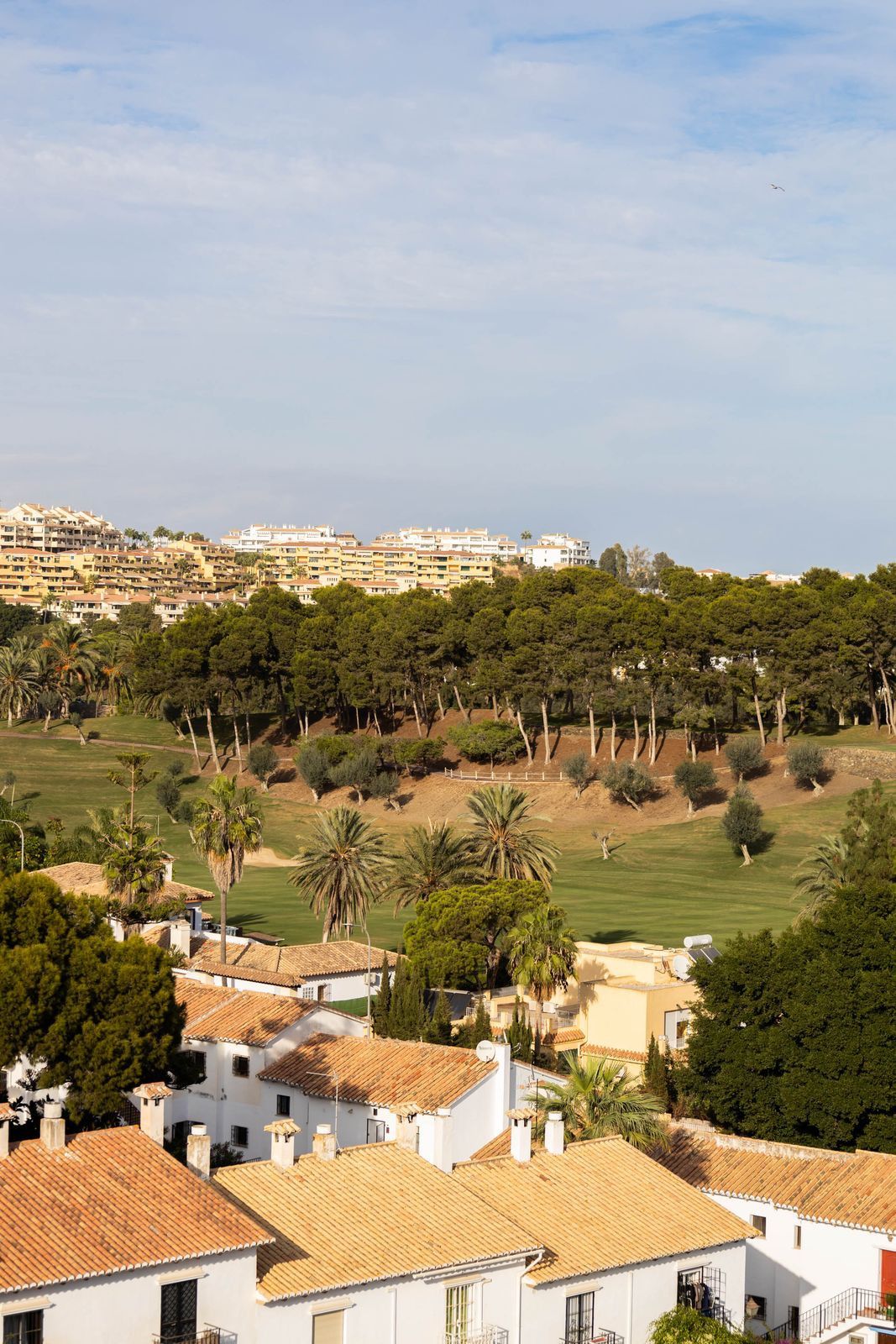 Property main view 29